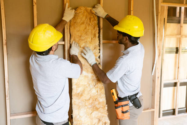 Best Attic Insulation Installation  in Pleasant Grove, UT